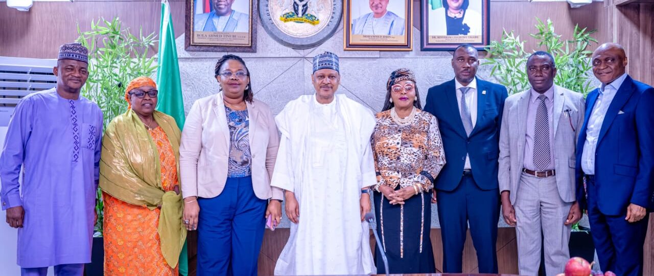 Nigerian govt sets up court to tackle fraud, advertising offences