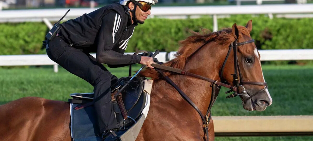 Chad Brown gives Sea Strike 'big chance' in Travers