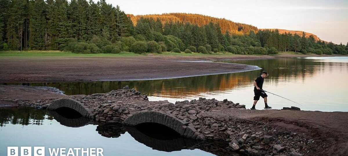 More areas of UK likely to move into drought as fifth heatwave builds