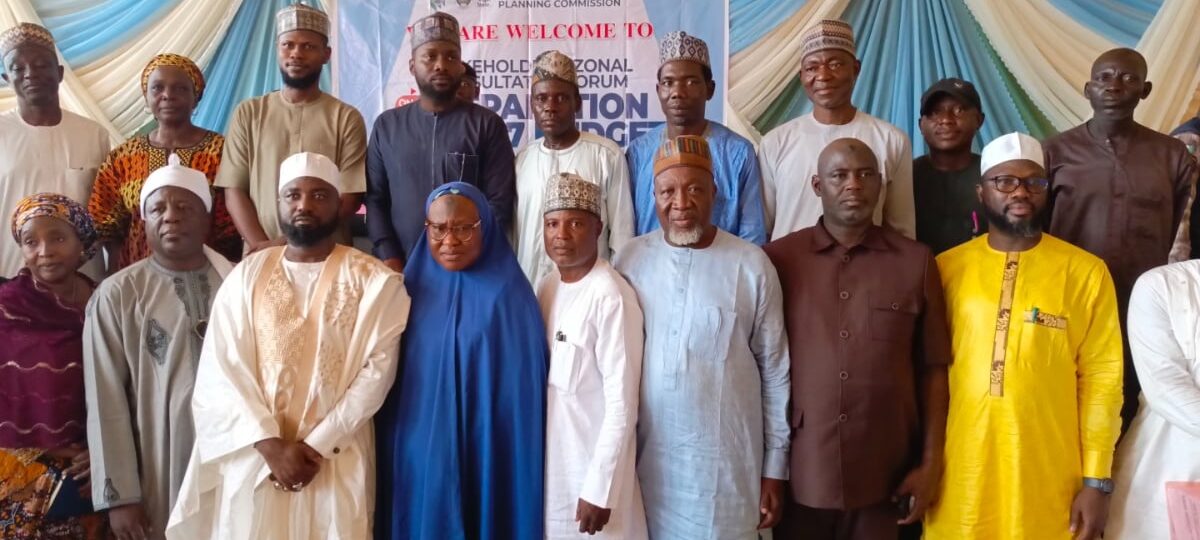Niger North LG chairmen pledge people-oriented projects in 2027 budgets