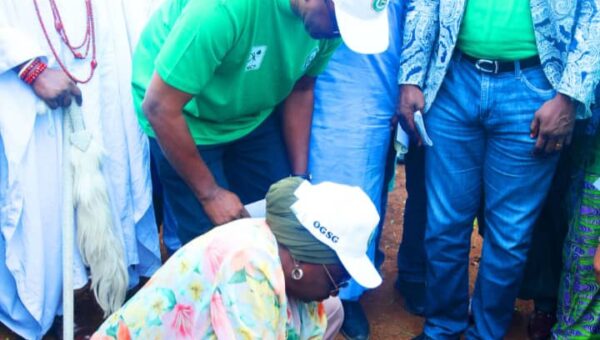 Ogun resuscitate 6 forest reserves, rallies citizens on 2026 tree planting day
