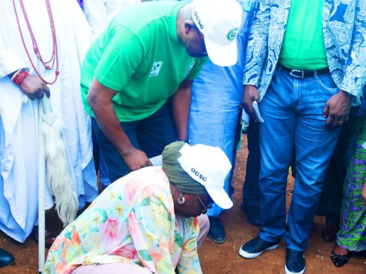 Ogun resuscitate 6 forest reserves, rallies citizens on 2026 tree planting day