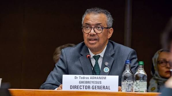 WHO Internship Program 2026: Gain Global Experience in Public Health