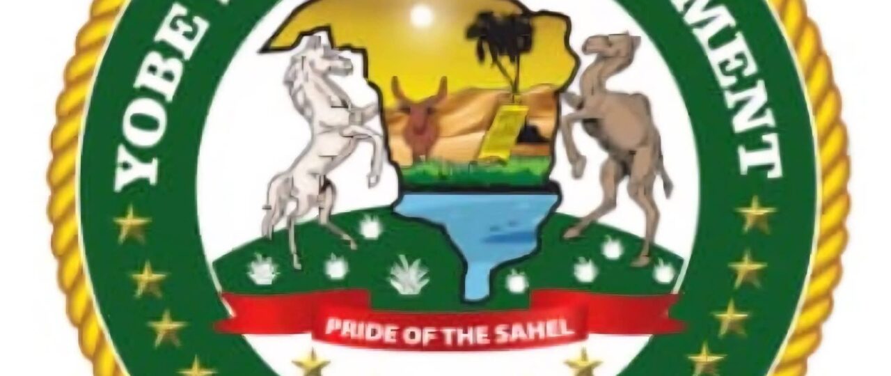 Yobe begins process for LG development area councils, sets up committee