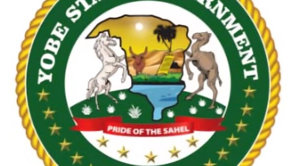 Yobe begins process for LG development area councils, sets up committee