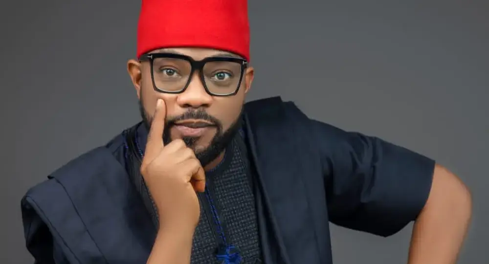 2027: APP will win elective positions through ballot not court – Ugochinyere