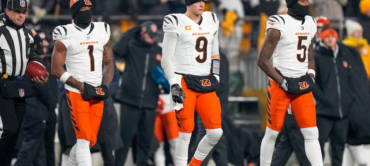 42 Bengals-inspired fantasy football team names for the 2026 season