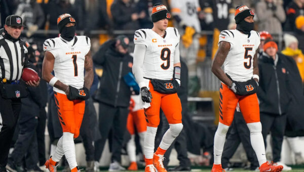 42 Bengals-inspired fantasy football team names for the 2026 season