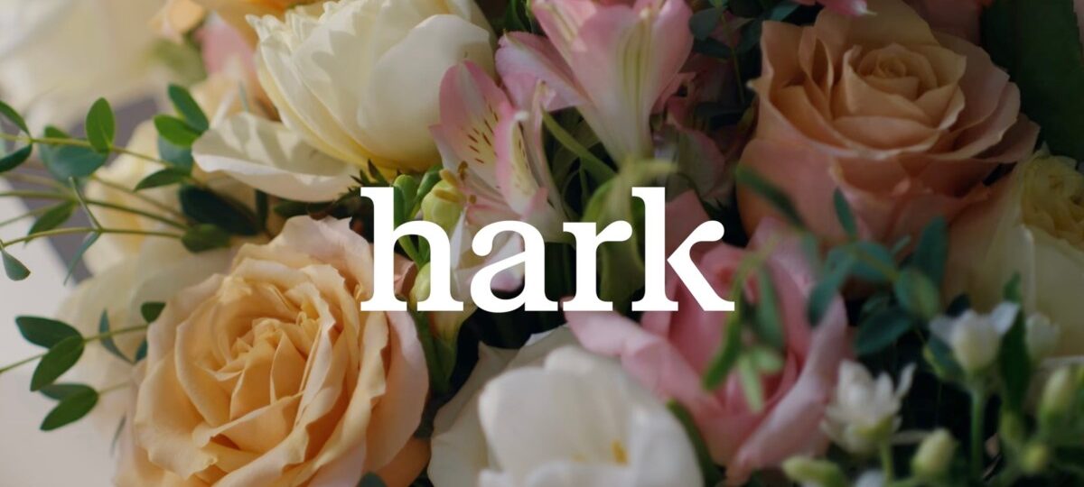 Hark previews its browser use agent for completing tasks
