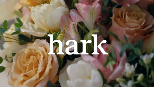 Hark previews its browser use agent for completing tasks