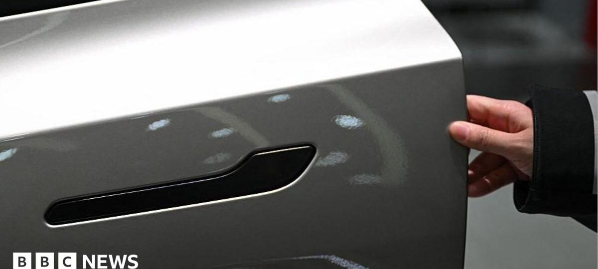 Nearly 3 million Teslas recalled in China over hidden door handles