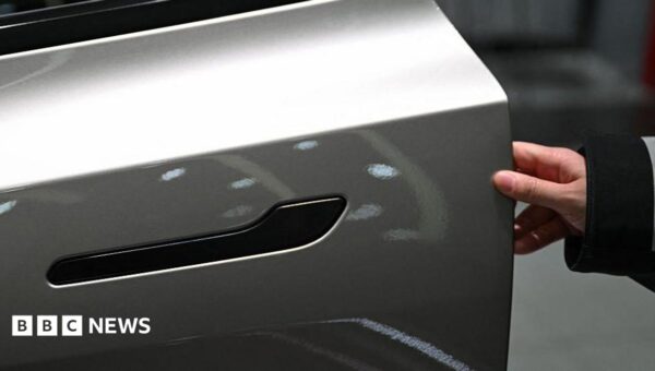 Nearly 3 million Teslas recalled in China over hidden door handles