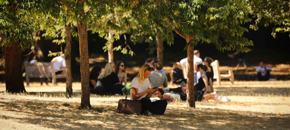 Weekend to bring significant drop in temperatures as heatwave ends