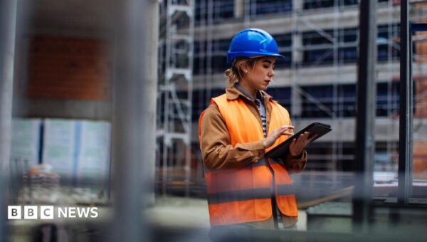 Prioritise new jobs over green targets to win public contracts, firms told