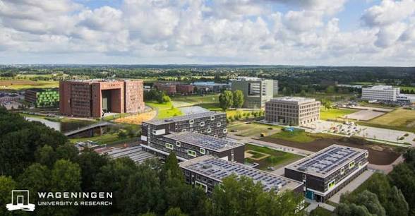 2027 Wageningen University Scholarships in Netherlands | Fully Funded