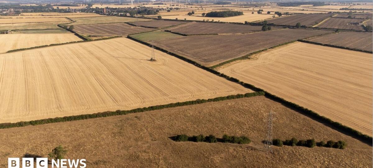 Continued drought could cause shortage of certain foods, head of farmers' union says