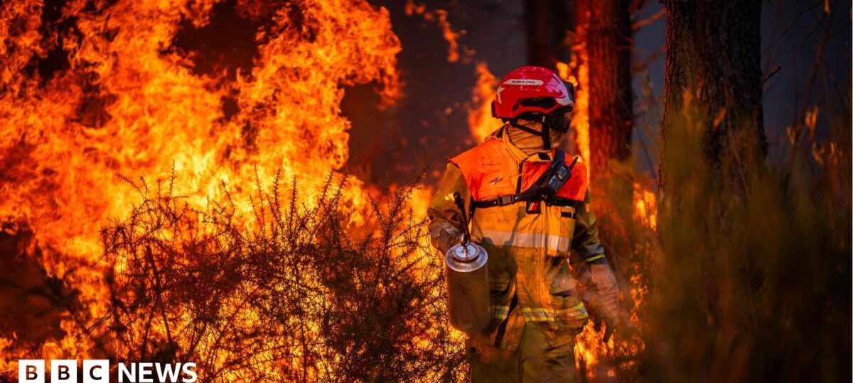 Hundreds arrested over French wildfires, but who is to blame?