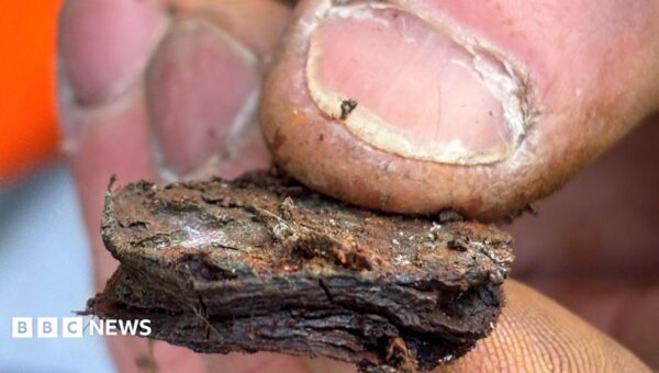 The ‘fiddly and frustrating’ work removing 10,000 coins from Giant’s Causeway columns