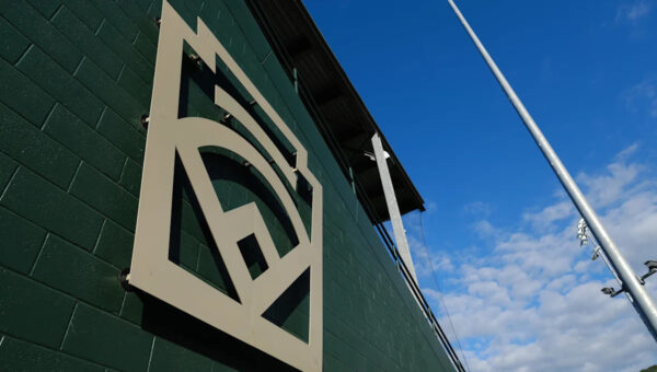 Little League World Series, how Alabama won SE Region to go to Williamsport