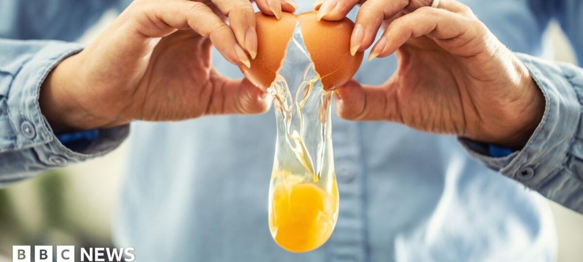UK salmonella cases nearing 500 as egg investigations continue