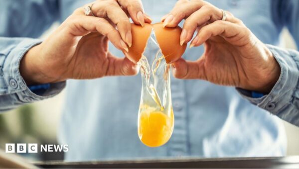 UK salmonella cases nearing 500 as egg investigations continue
