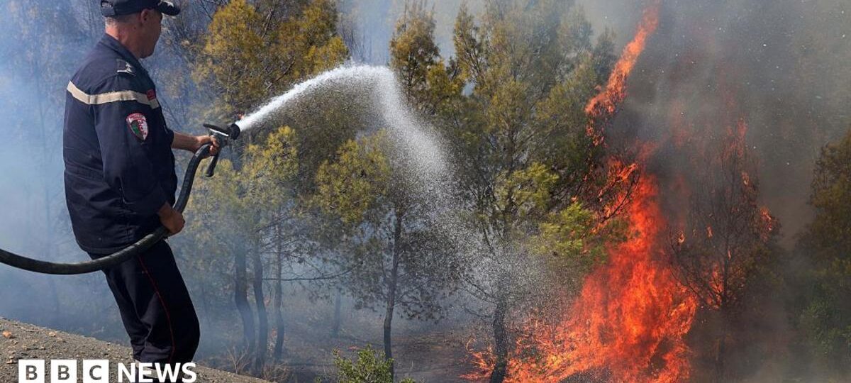 At least 12 dead as wildfires sweep through northern Algeria