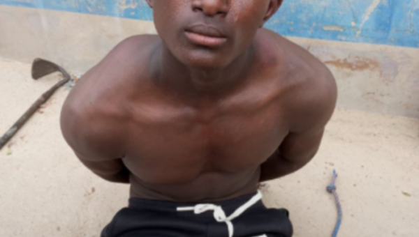 Troops arrest suspected ISWAP operative in Borno