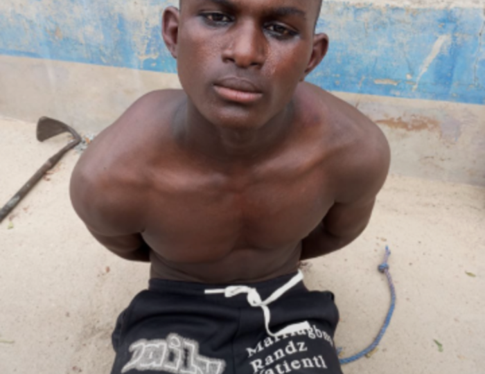 Troops arrest suspected ISWAP operative in Borno
