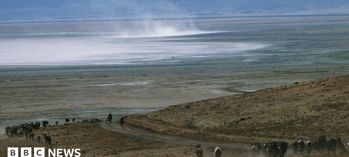 Tanzanian rangers arrested as police investigate death in national park