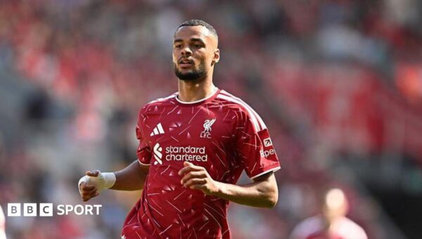 A wanted man – but would Liverpool’s Gakpo be a good fit at Spurs?