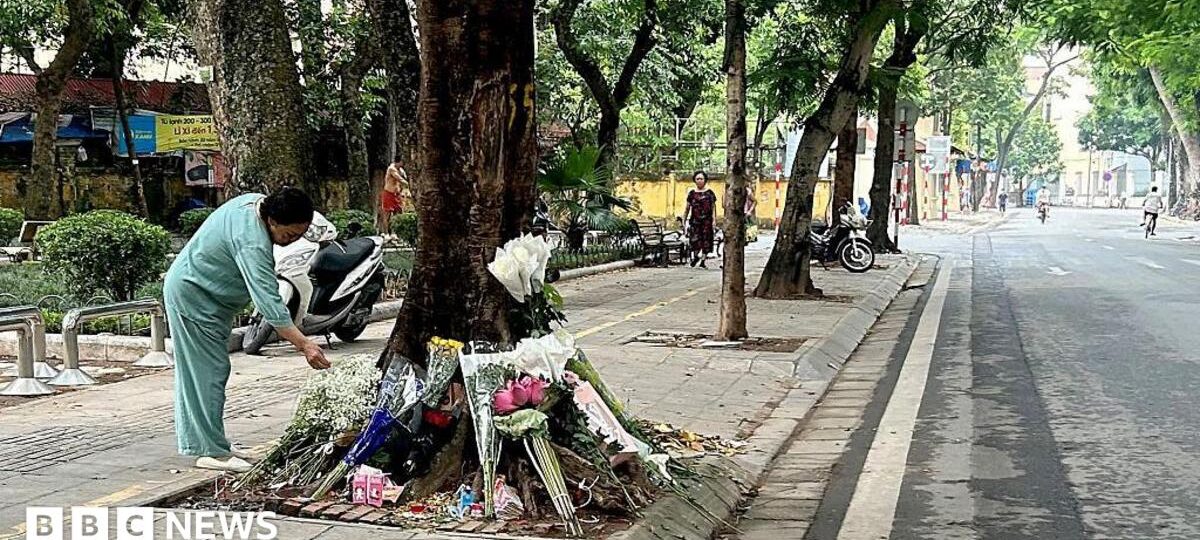Rumours swirled after a Vietnamese teen was run over - then came a stunning admission