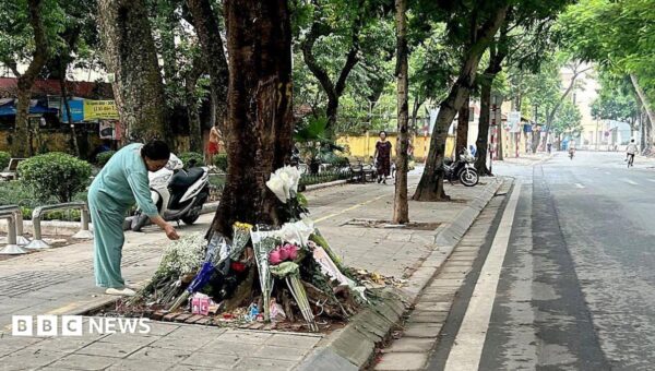 Rumours swirled after a Vietnamese teen was run over – then came a stunning admission