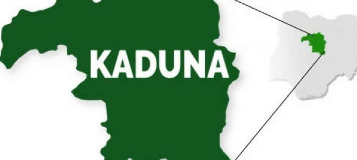 Adamu Toro: How Kaduna is being repositioned as Nigeria’s biggest agricultural hub