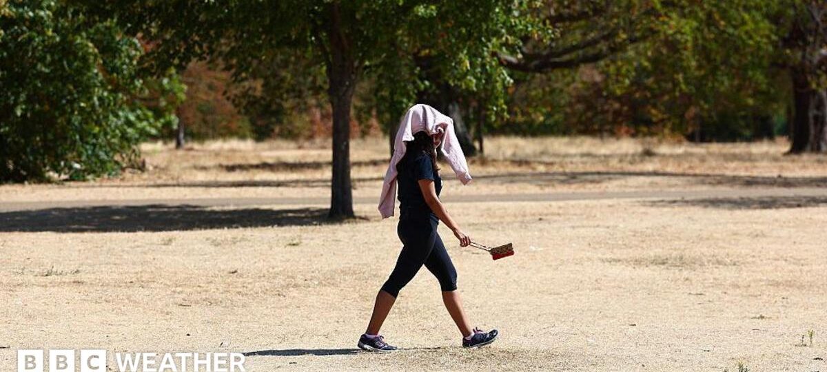 Amber heat health alerts for almost all of England as next heatwave begins