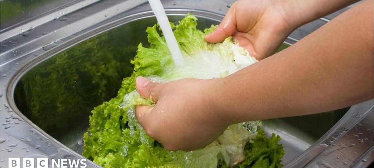 US reports first two deaths linked to 'explosive diarrhoea' outbreak