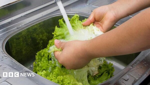 US reports first two deaths linked to ‘explosive diarrhoea’ outbreak