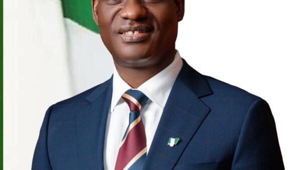Osaro Okunbowa: Beyond the pain – What Nigeria’s reform numbers are beginning to show