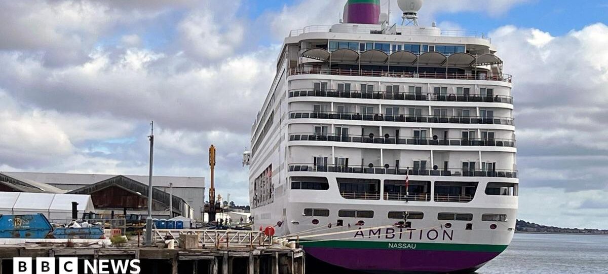 Search for cruise ship passenger feared to have fallen overboard