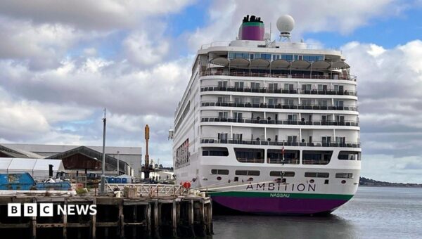 Search for cruise ship passenger feared to have fallen overboard