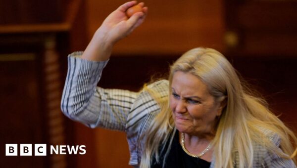 Watch: Moment opposition MP throws eggs at Kosovo’s acting PM