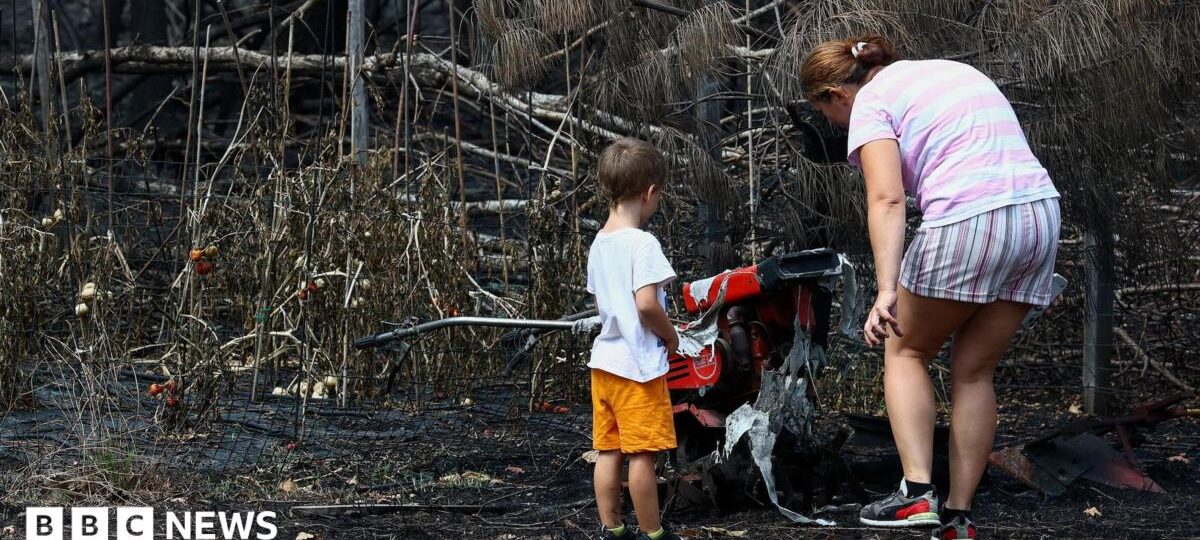 France wildfires reveal hundreds of WW2 shells in village