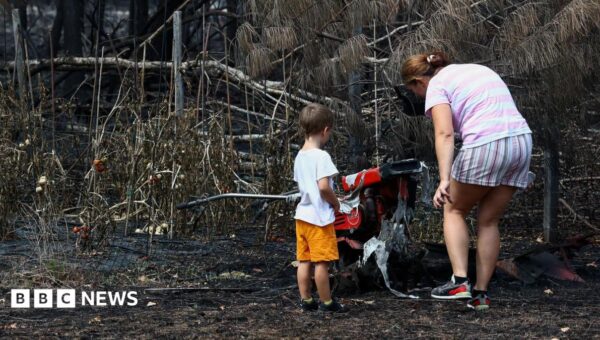 France wildfires reveal hundreds of WW2 shells in village