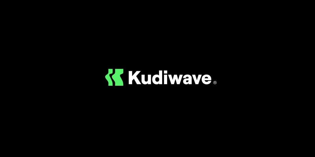 KudiWave seeks clarification over N750m transfer from PalmPay account