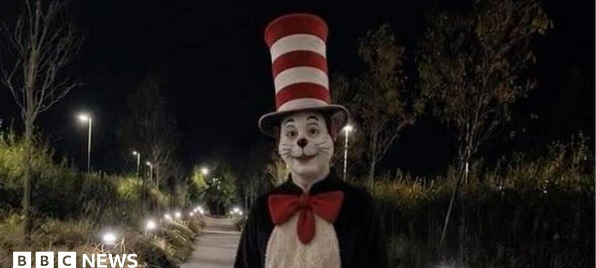Viral 'Cat in the Hat' TikTok trend sparks fun fake videos but also real fear