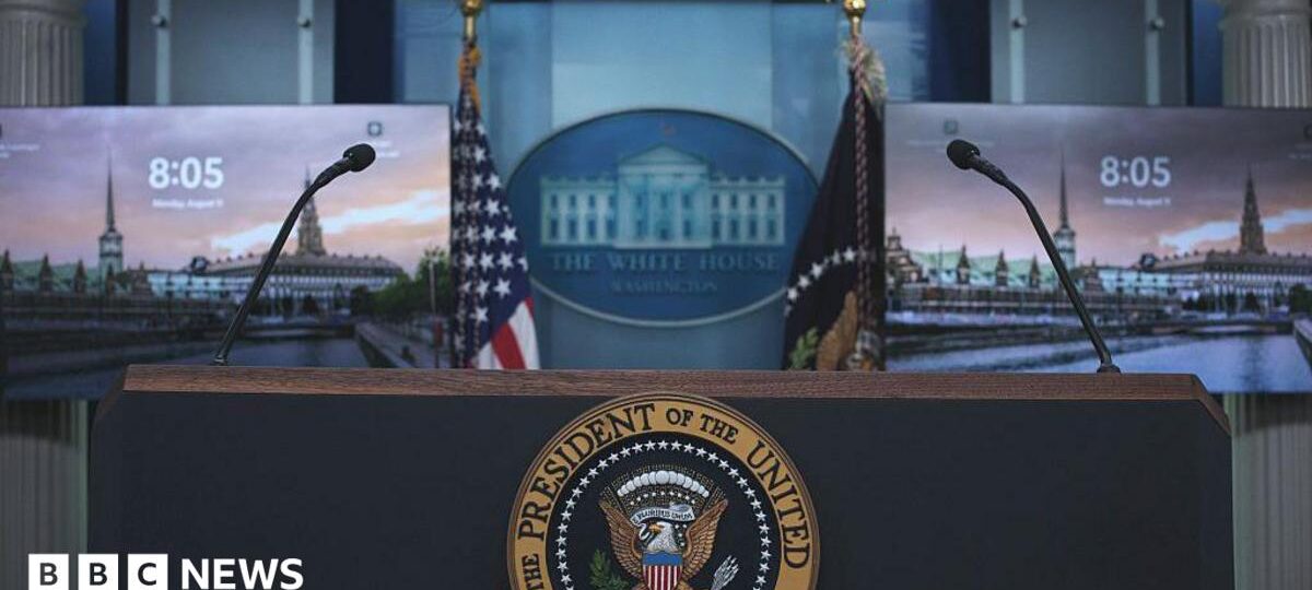 Who could potentially replace White House Press Secretary Karoline Leavitt?