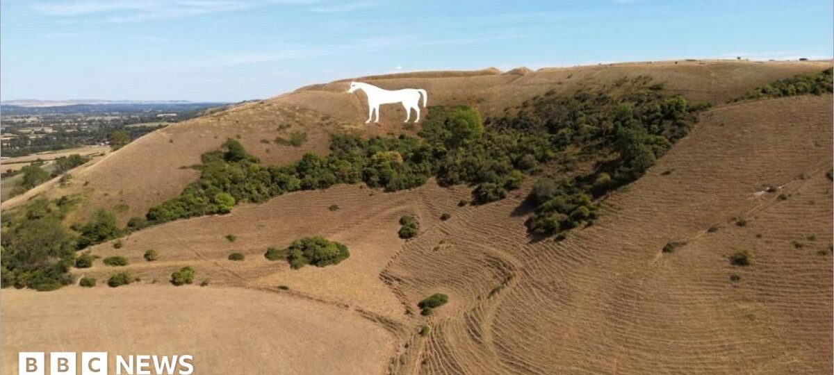 Drought expected to be declared in more parts of England