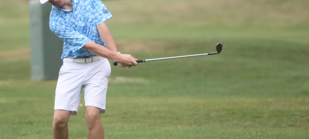 Brutal Truth About Struggling With Thin Irons And Fat Wedges