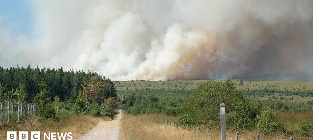 Firefighters battle wildfire tearing through Belgian nature reserve