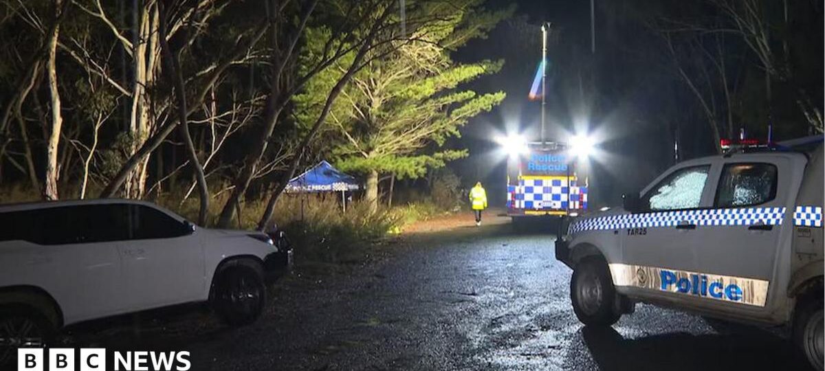 Lifelike doll with 'bruises and grazes' sparks mistaken Australian murder inquiry