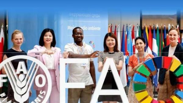 FAO Young Professionals Program (YPP) 2026 | How To Apply